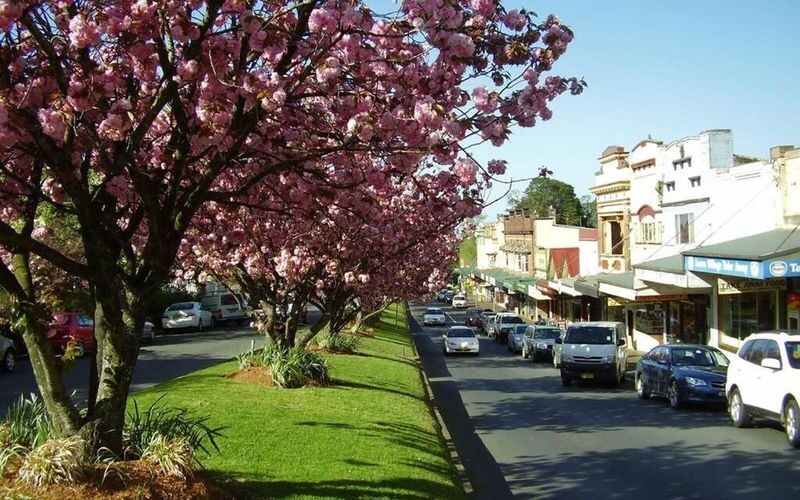 Sydney Blue Mountains Scenic World Guided Half-Day Tour - What the route may include beyond Scenic World