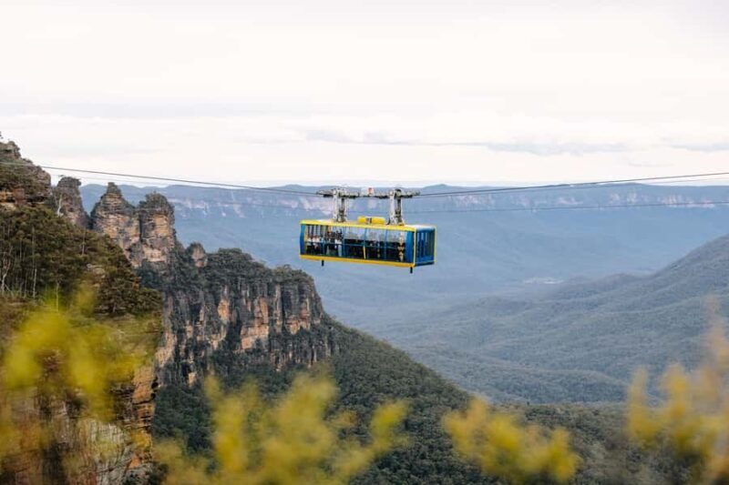 Sydney: Blue Mountains Scenic World, Wildlife Park and Lunch - Guides and Group Size
