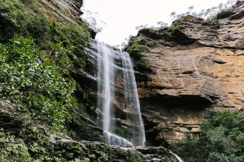 Sydney: Blue Mountains Tour with Wildlife Park & Waterfalls - Who Will Love This Tour?