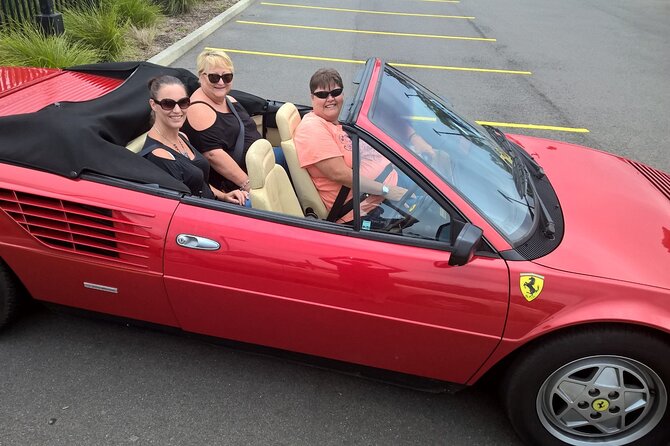 Sydney Bridges and Beaches Tour “Vintage Car Ride” Experience - Pricing and Booking Details