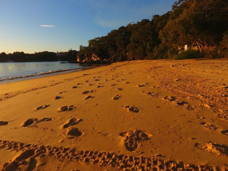 Sydney: BYO Picnic in Paradise for 2 - Activity Details