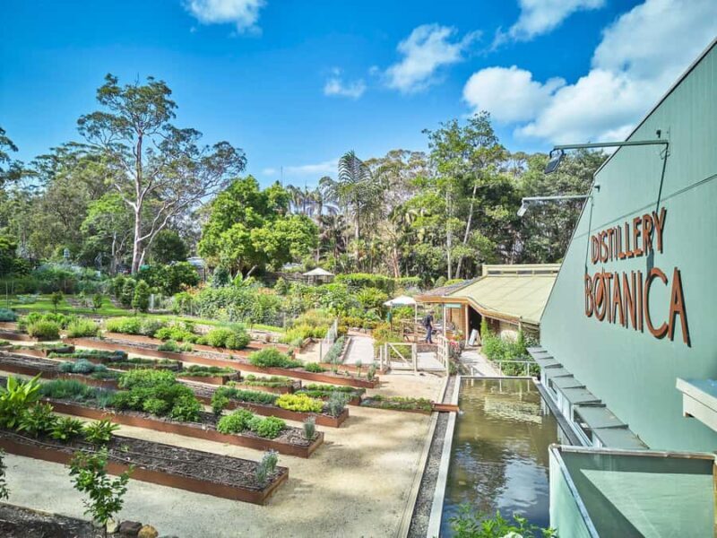 Sydney: Central Coast Day Trip with Wildlife Sanctuary - Scenic Overlooks and Coastal Stops