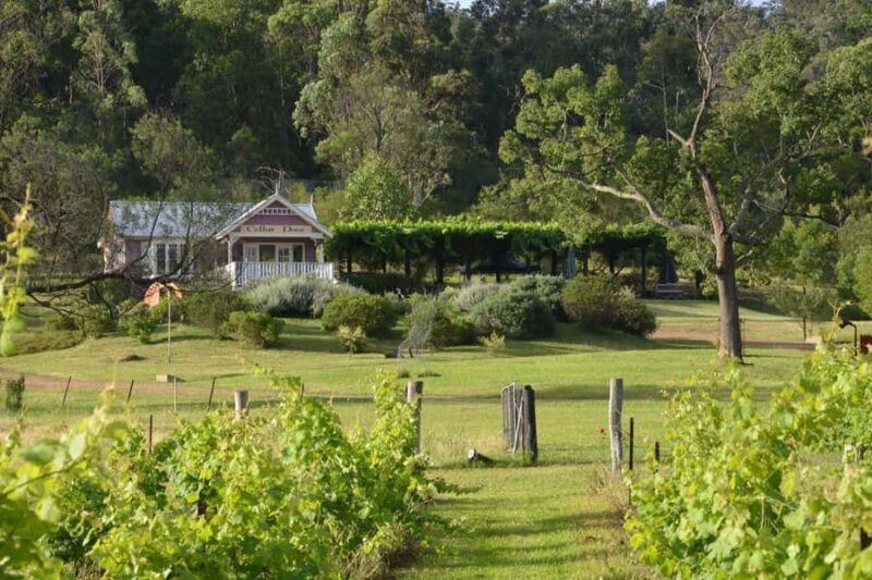 Sydney: Chef-Led Hunter Valley Food & Wine Tour - Introduction