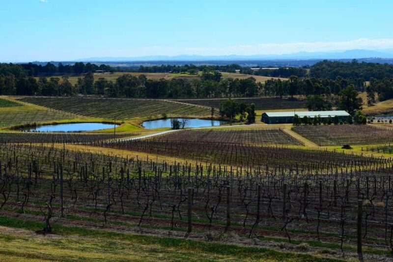 Sydney: Chef-Led Hunter Valley Food & Wine Tour - Transport, Duration, and Group Size