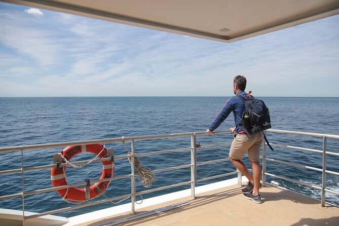 Sydney Circular Quay or Darling Harbour Whale-Watching Cruise - Meeting and Pickup Locations