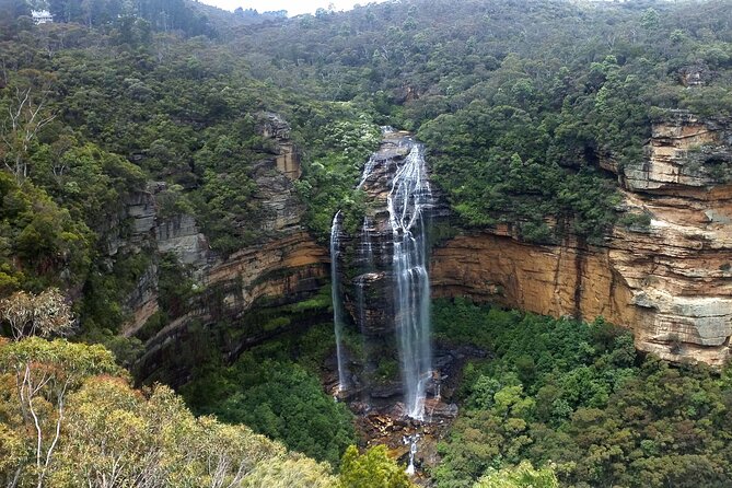 Sydney City and Blue Mountains in One Day Private Tour - Private Tour Guide