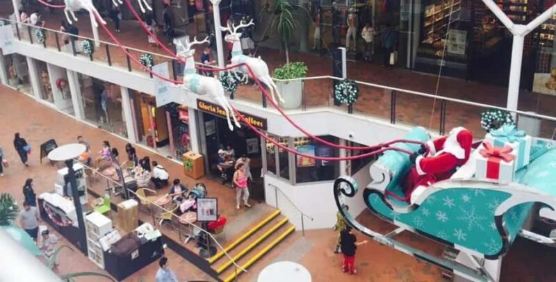 Sydney: City and Surrounding Sightseeing Luxury Private Tour - An In-Depth Look at the Sydney Private Tour