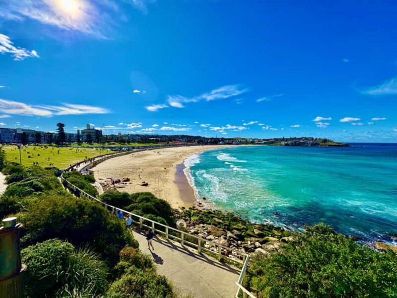 Sydney City Harbour and Coastal Adventure - Practical Details and Tips
