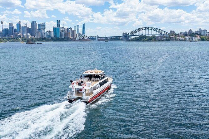 Sydney City Hidden Gem Half Day Small Group Tour - Who Should Consider This Tour?