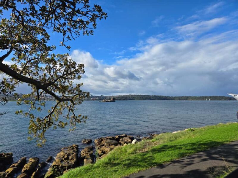 Sydney: City Hidden Gem Half-Day Tour - Practical Details and Considerations