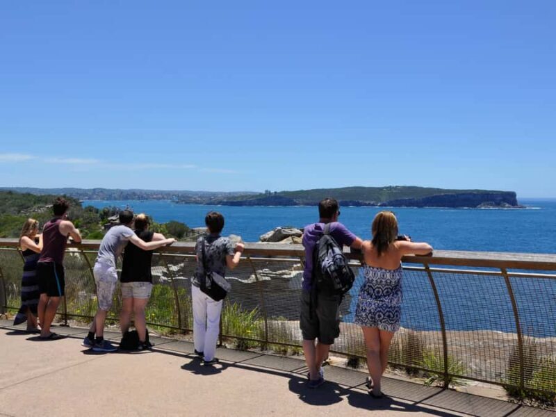 Sydney: City Highlights Guided Bus Tour - What the Tour Offers Beyond the Sightseeing