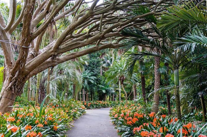 Sydney: City Hike with Opera Bar Lunch - Final Thoughts: Who Is This Tour Perfect For?
