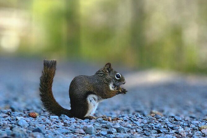 Sydney City Roots and Wildlife Trails of Cape Breton Island - Sydney City Roots and Wildlife Trails of Cape Breton Island