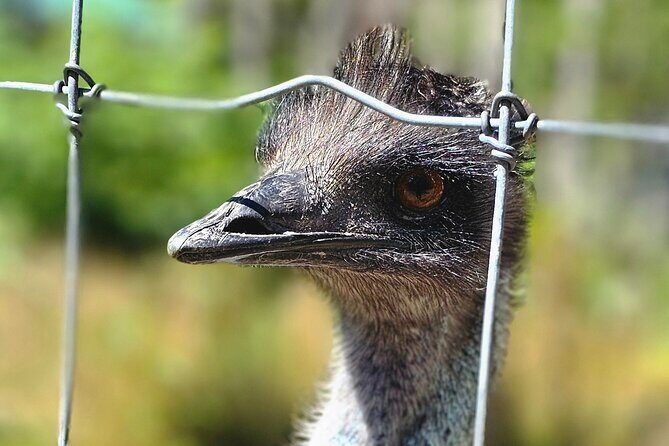 Sydney City Roots and Wildlife Trails of Cape Breton Island - Final Thoughts