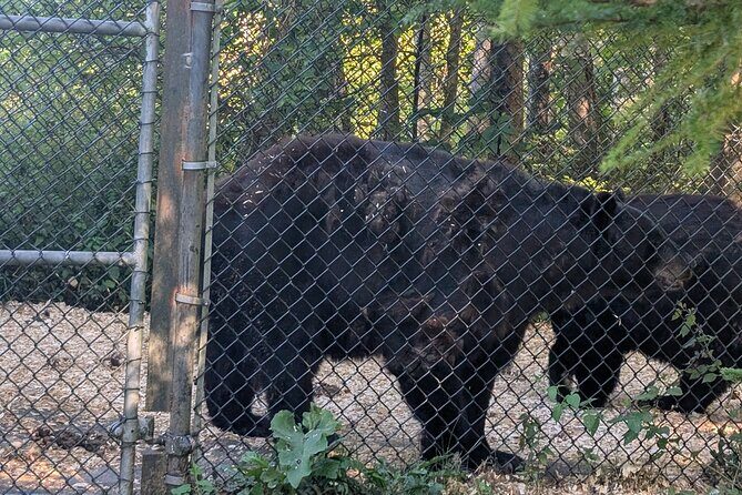 Sydney City Roots and Wildlife Trails of Cape Breton Island - FAQ