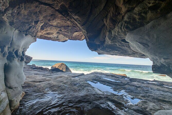 Sydney City Tour | Bondi, Opera House, Bridge & Highlights - Who Is This Tour Best For?