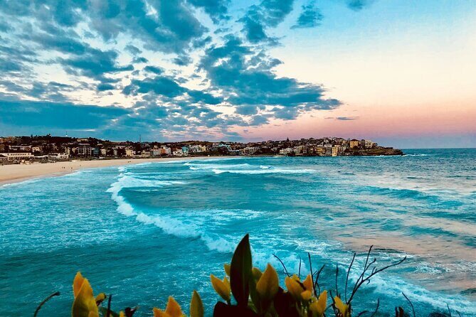Sydney Coastal Highlights Half Day Tour - Final Thoughts