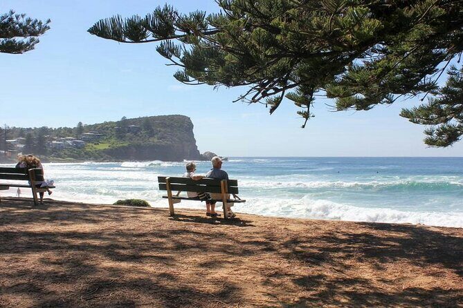 Sydney Coastal Walk Beaches Forts and Scenic Views - Practical Details and Tips