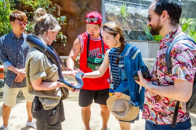 Sydney: Combo Pass for 2, 3, or 4 Top City Attractions - An Overview of the Combo Pass Experience