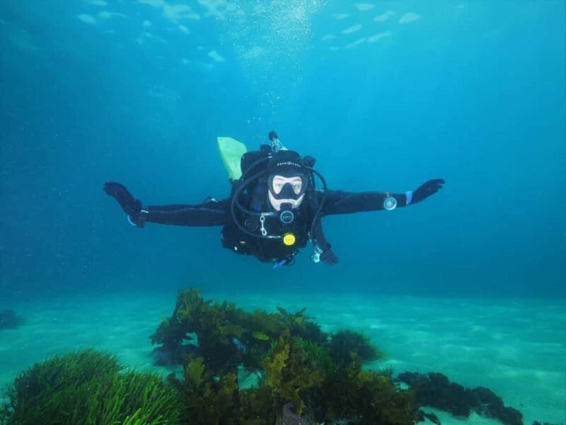 Sydney: Discover Scuba Dive at Australia's most Iconic Beach - Good To Know
