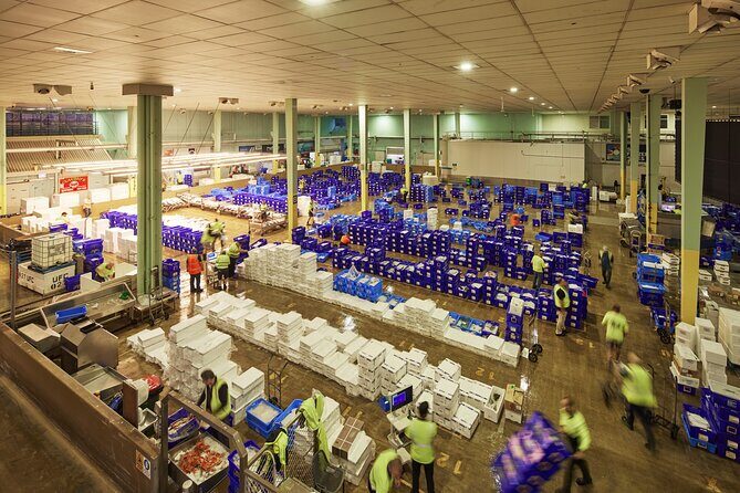 Sydney Fish Market Behind the Scenes Tour - Good To Know
