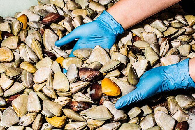 Sydney Fish Market Discovery Tour - Final Thoughts