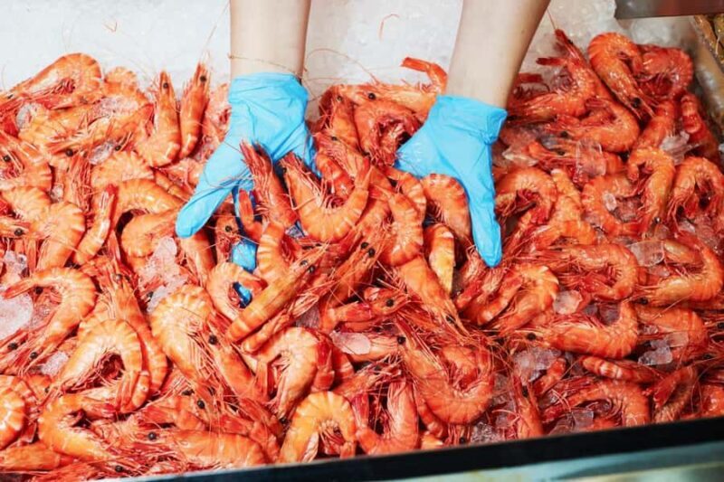 Sydney: Fish Market Food Tour - Good To Know