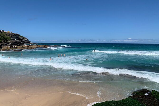 Sydney Full Day Private City Harbour Coastal Adventure - Authentic Guest Insights