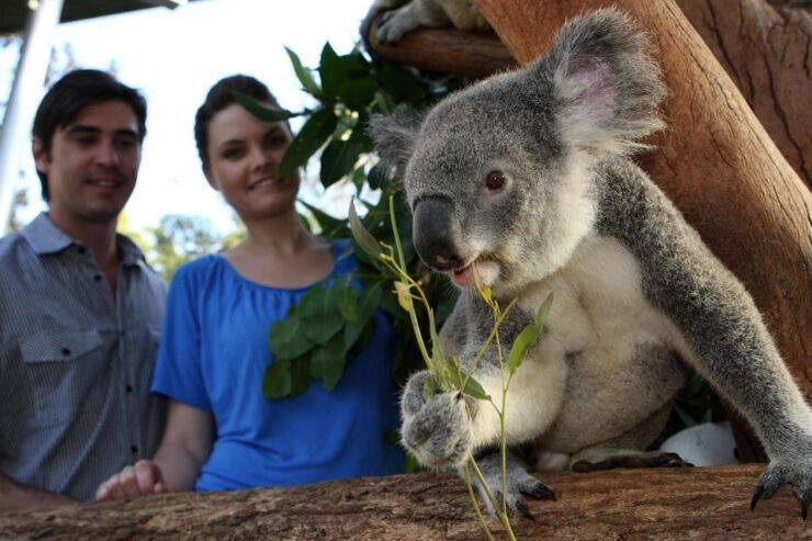 Sydney: Go City Explorer Pass - Save on 2 to 7 Attractions - Booking and Flexibility