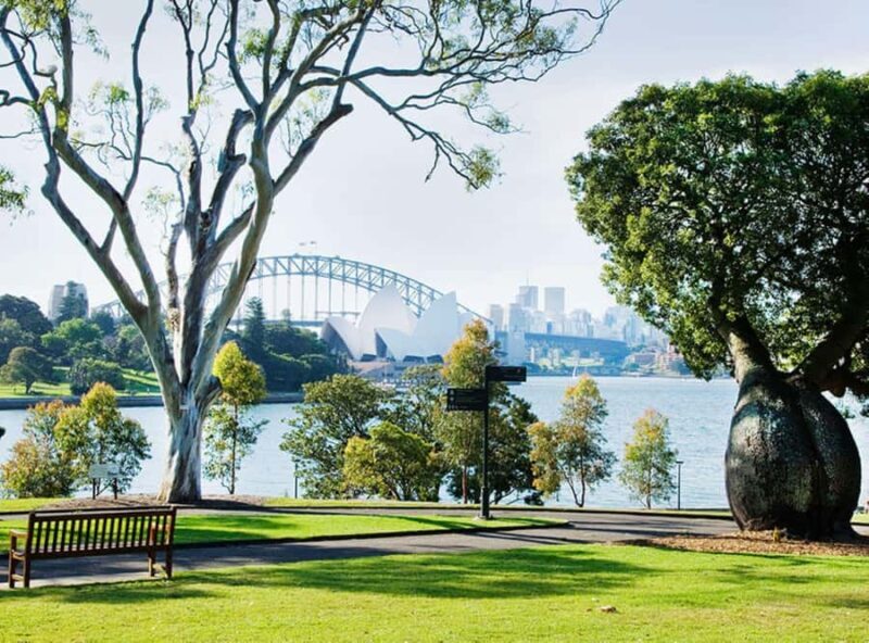 Sydney: Guided Hike with Picnic Lunch and Painting Session - A Closer Look at the Experience