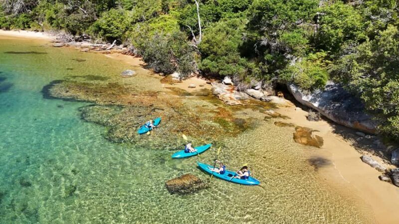 Sydney: Guided Kayak Taster Tour from Manly - Why the Guided Kayak Taster Tour Stands Out
