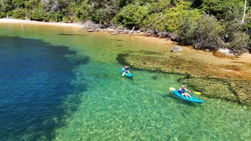 Sydney: Guided Kayak Taster Tour from Manly - Who Will Love This Tour?