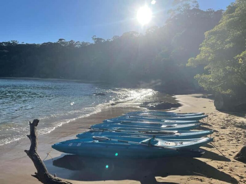 Sydney: Guided Kayak Taster Tour from Manly - Final Thoughts