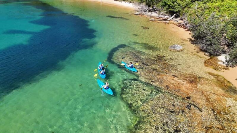 Sydney: Guided Kayak Taster Tour from Manly - FAQ