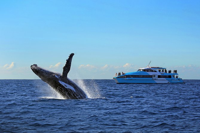 Sydney Harbour Ferry With Taronga Zoo Entry and Whale Watching Cruise - Common Questions