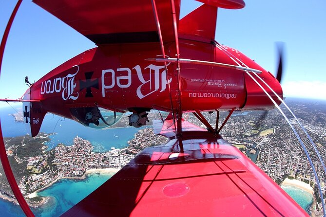 Sydney Harbour Joy Flight in the Pitts Special - Traveler Reviews and Ratings