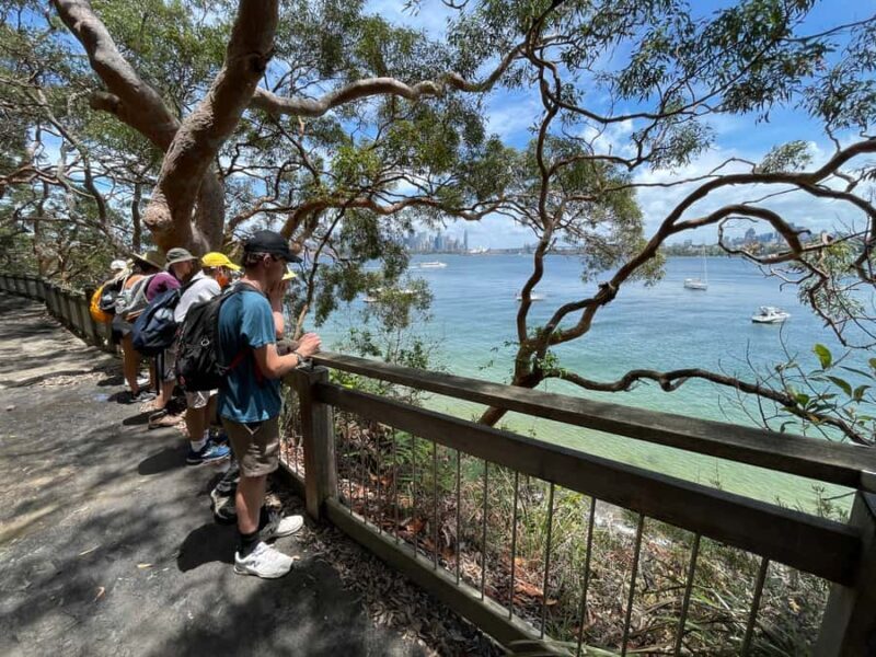 Sydney Harbour National Park 2-Hour Walking Tour - Discovering Sydney Harbour National Park in Just Two Hours
