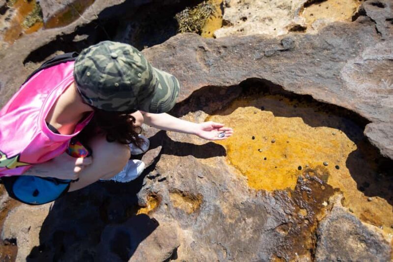 Sydney Harbour National Park 2-Hour Walking Tour - Who Will Love This Experience?