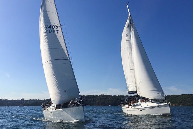 Sydney Harbour Sailing Experience - Who Will Love This Tour?
