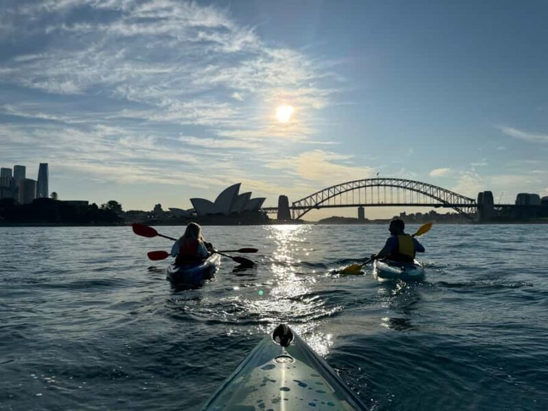 Sydney: Harbour Sunrise Kayak Tour - Good To Know