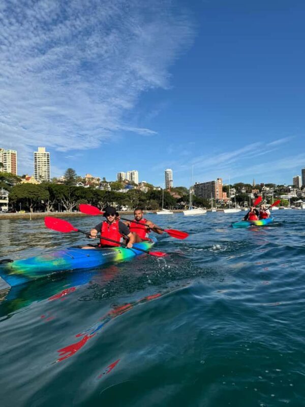 Sydney: Harbour Sunrise Kayak Tour - An In-Depth Look at the Sydney Harbour Sunrise Kayak Tour