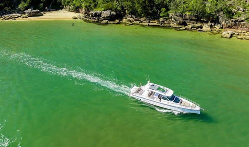 Sydney Harbour Twilight Cruise - Good To Know
