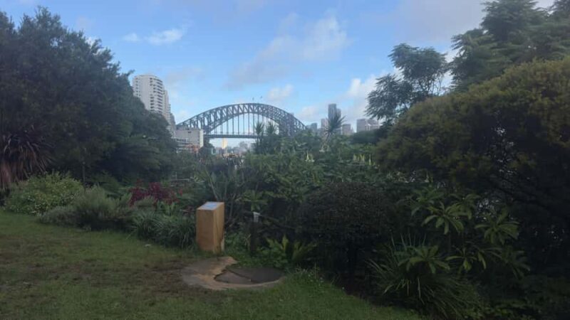 Sydney: Harbour Views & Hidden Histories Walking Tour - Good To Know