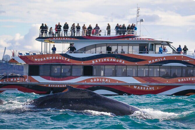 Sydney Harbour Whale Watching Experience - An In-Depth Look at the Sydney Harbour Whale Watching Tour