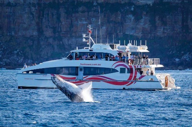 Sydney Harbour Whale Watching Experience - Final Thoughts