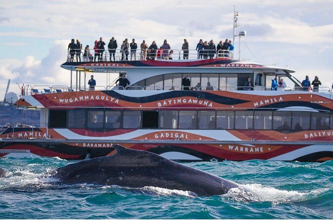 Sydney Harbour Whale Watching Experience - FAQs