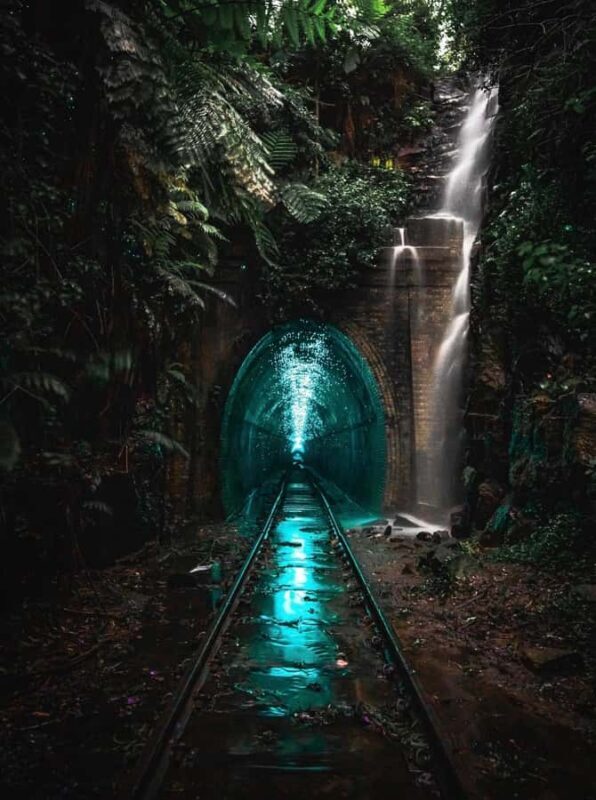 Sydney: Helensburgh Glow Worm Tunnel Tour with Transfer - Good To Know