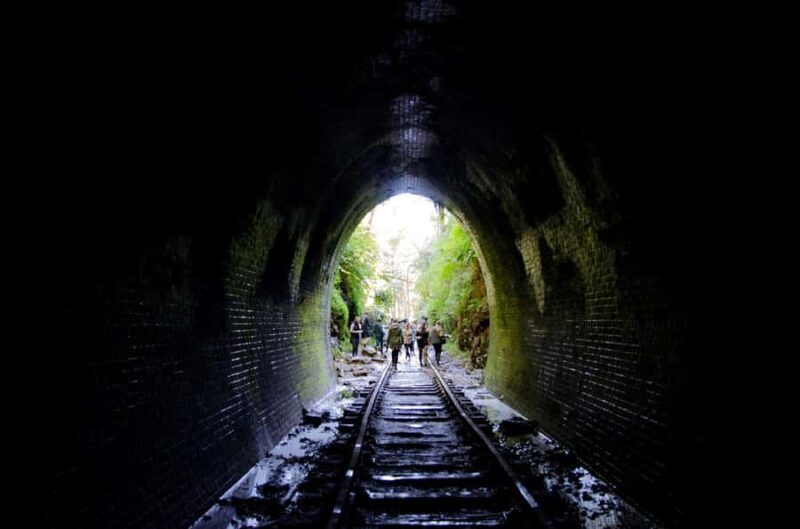 Sydney: Helensburgh Glow Worm Tunnel Tour with Transfer - What to Expect From the Helensburgh Glow Worm Tunnel Tour