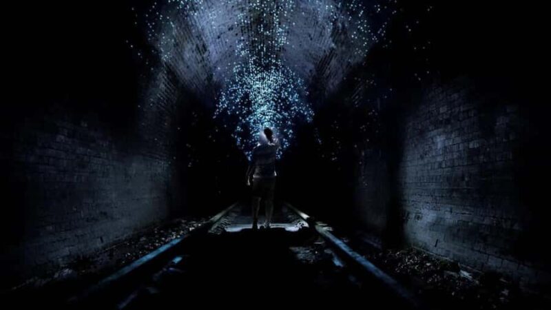 Sydney: Helensburgh Glow Worm Tunnel Tour with Transfer - The Experience: What You Will and Won’t Get