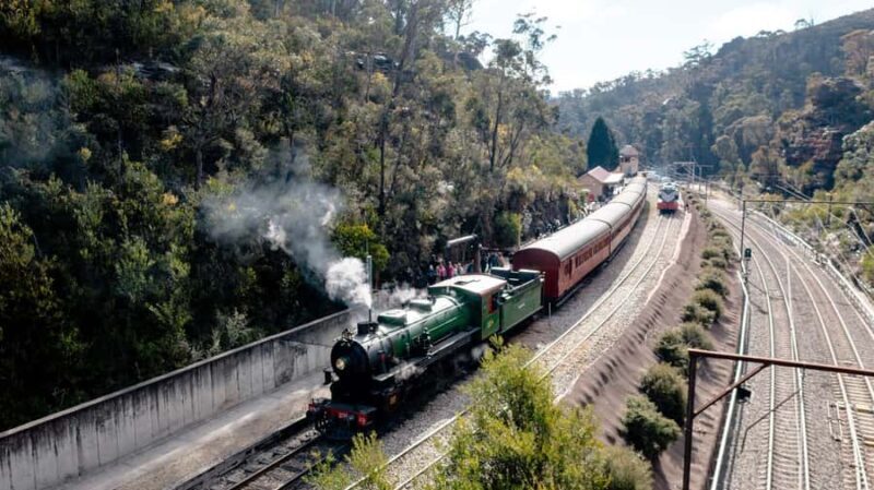 Sydney: Heritage Zig Zag Steam Train and Blue Mountains Tour - Final Words